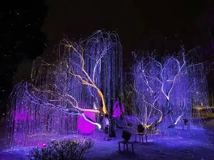 微信图片_20250118110347